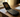 POM Kosher Phones: A Complete Guide to Models, Features, and Who They're Best For
