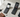 Wonder Phone vs. Pom Cellphone: Which Kosher Phone Is the Right Fit for You?
