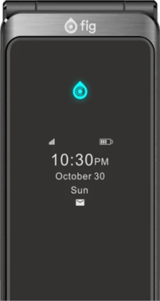 External Screen of Fig Kosher Phone